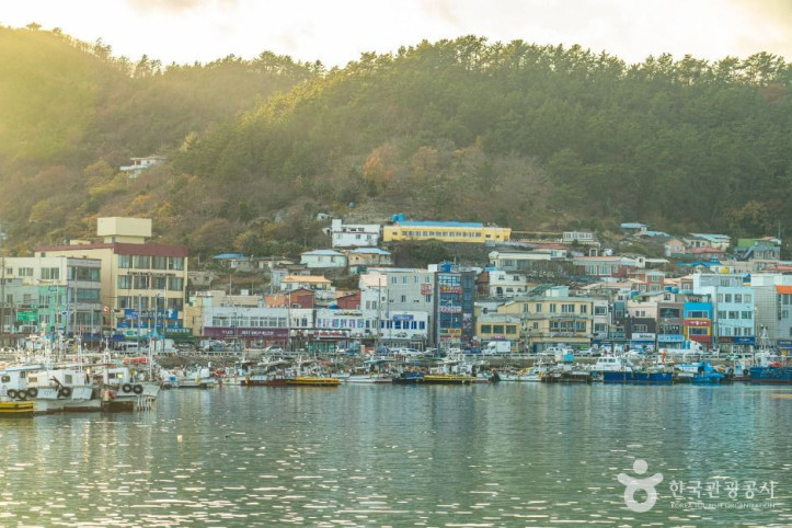 완도항 여행 추천 - 메고지고