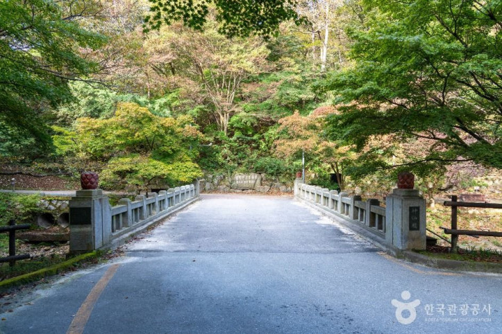 강천산 군립공원 여행 추천 - 메고지고