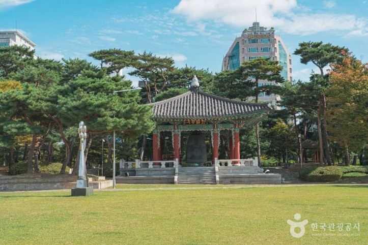 대전광역시청 시민잔디광장 여행 추천 - 메고지고