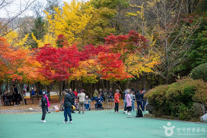 소요산국민관광지 여행 추천 - 메고지고
