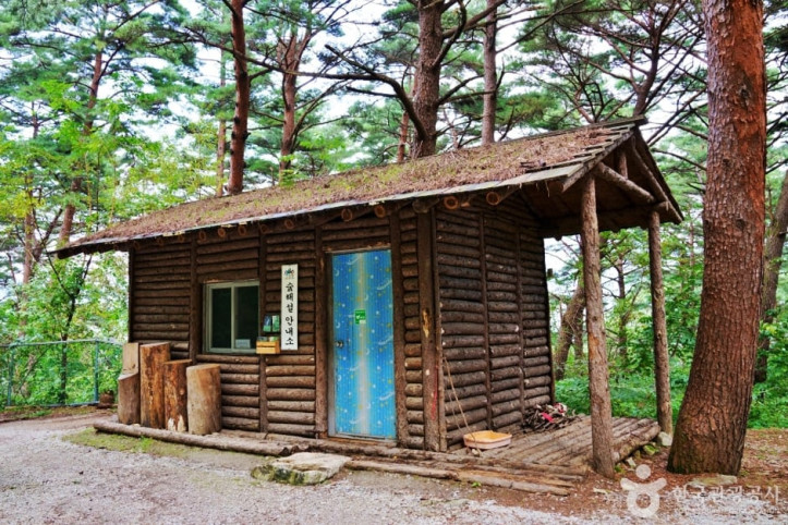 서벽금강소나무숲 여행 추천 - 메고지고