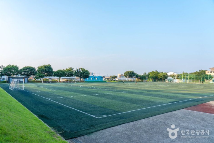 팽성레포츠공원 여행 추천 - 메고지고