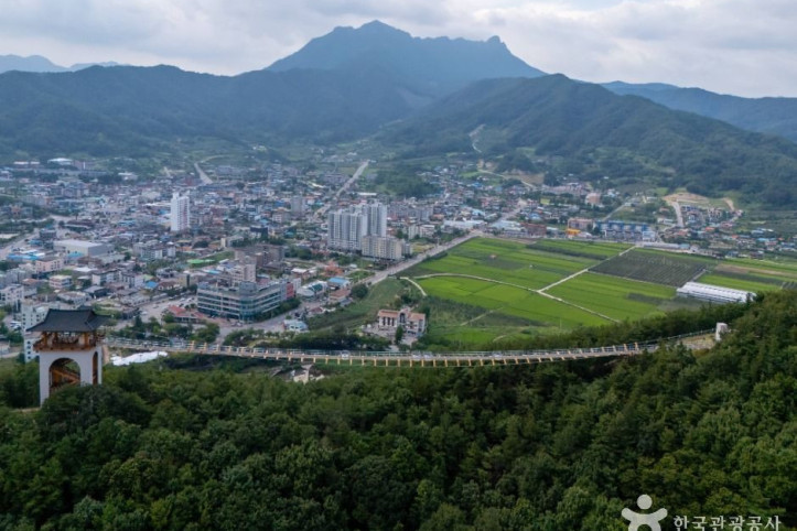 봉명산 출렁다리 여행 추천 - 메고지고