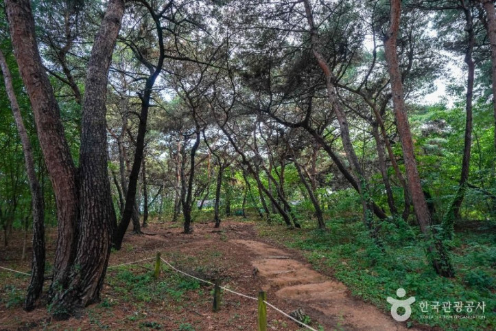 연암공원 여행 추천 - 메고지고