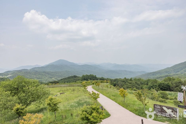 경주 풍력발전(바람의언덕) 여행 추천 - 메고지고
