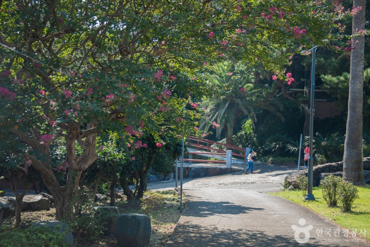 약천사(제주) 여행 추천 - 메고지고