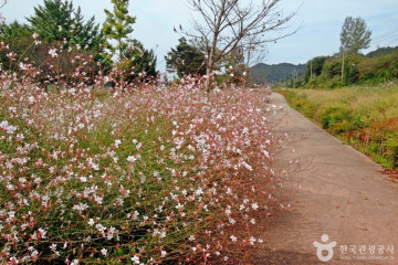 용문서원 여행 추천 - 메고지고