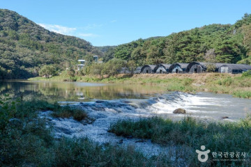 칠갑산산꽃마을 여행 추천 - 메고지고