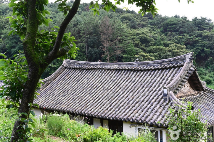 유룡마을 여행 추천 - 메고지고