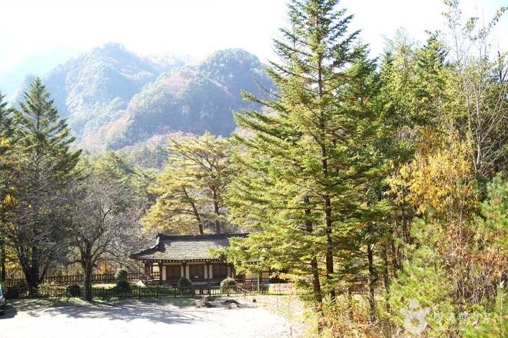장수대 여행 추천 - 메고지고