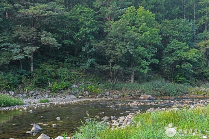 아침가리계곡 여행 추천 - 메고지고