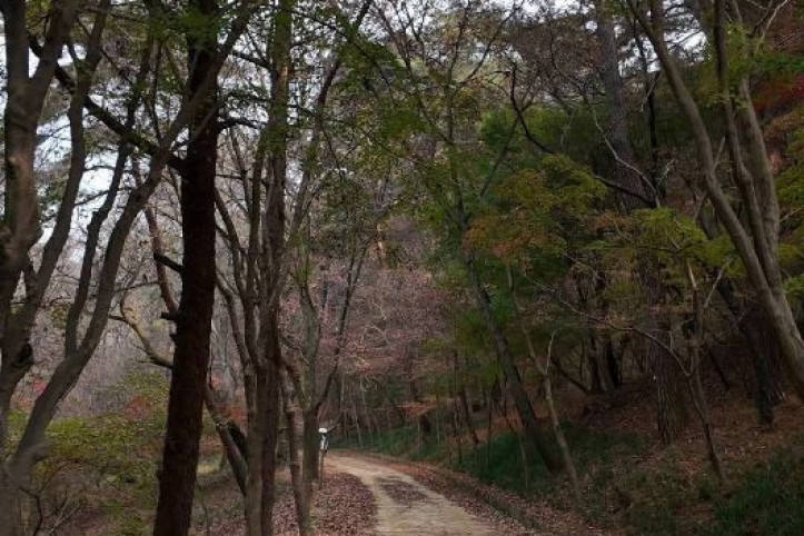 부소산 여행 추천 - 메고지고