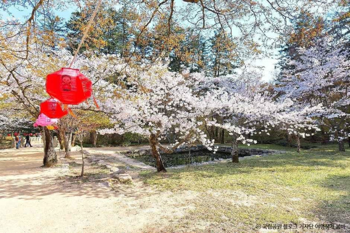 내소사(부안) 여행 추천 - 메고지고