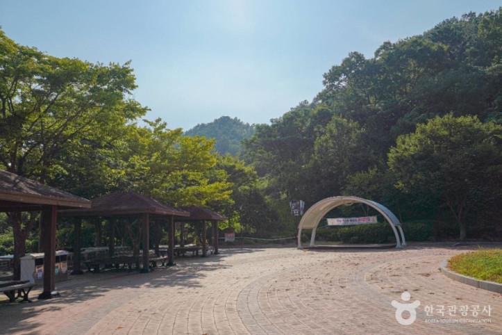 숲쟁이공원 여행 추천 - 메고지고