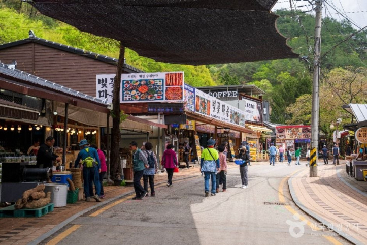마이산도립공원 여행 추천 - 메고지고