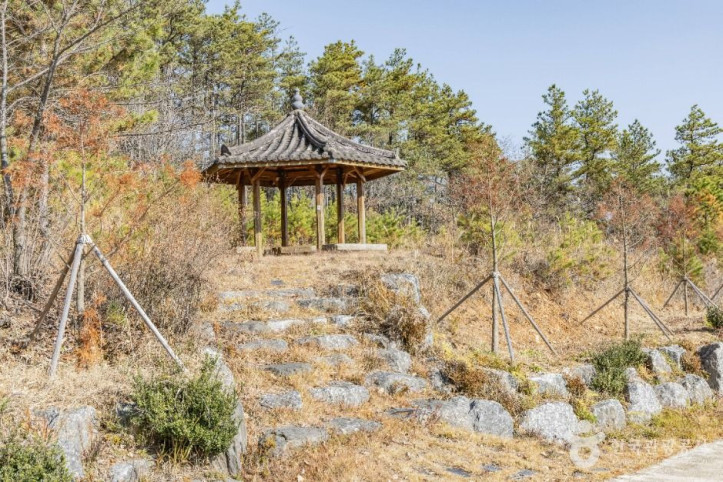 고원화목원 여행 추천 - 메고지고