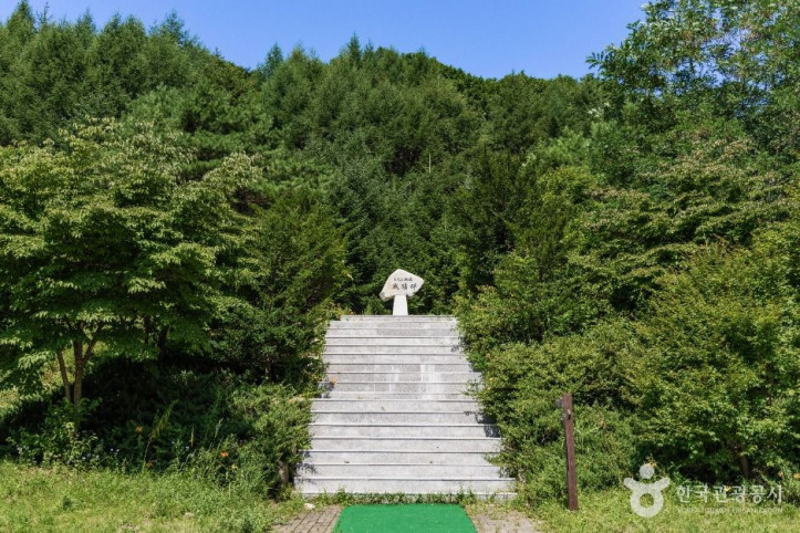 대성산지구 전적비 여행 추천 - 메고지고