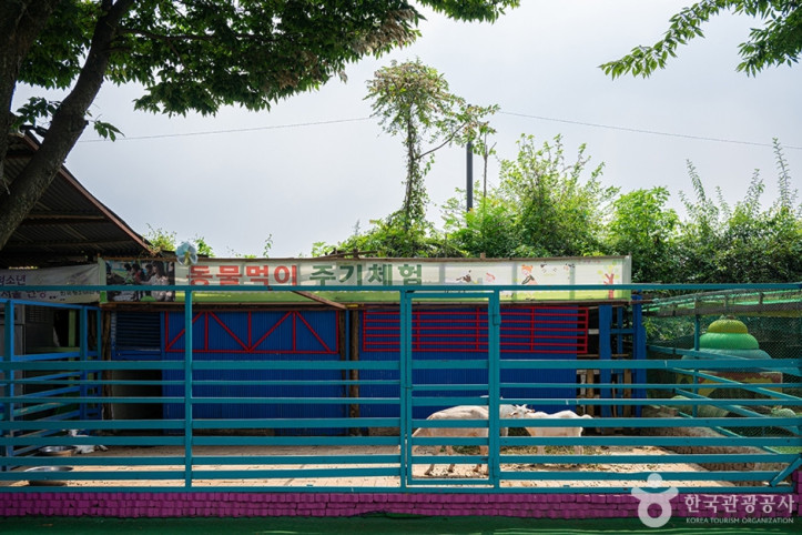 고양낙농치즈테마체험장 여행 추천 - 메고지고