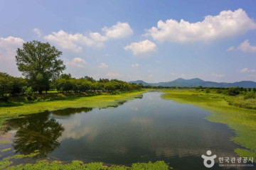 양씨삼강문 여행 추천 - 메고지고