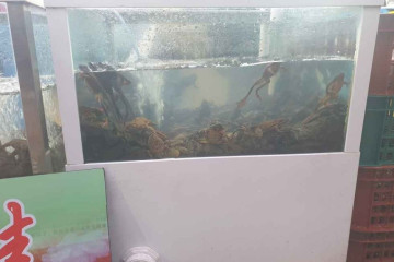 신길역사유적공원 여행 추천 - 메고지고