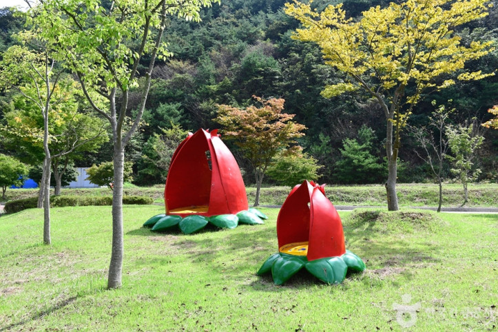 불갑저수지 수변공원 여행 추천 - 메고지고