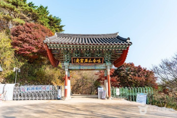 토함산자연휴양림 여행 추천 - 메고지고