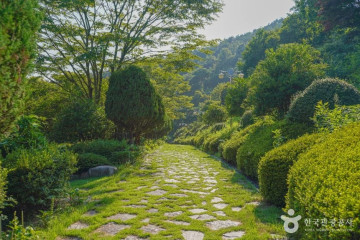 영광대교 여행 추천 - 메고지고