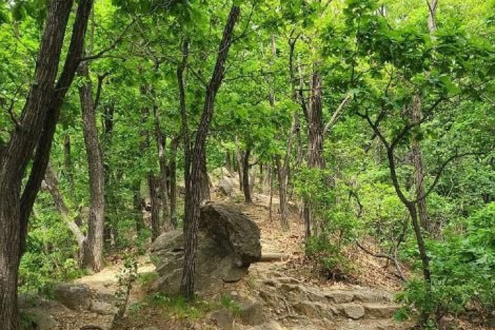 구룡산(서울) 여행 추천 - 메고지고