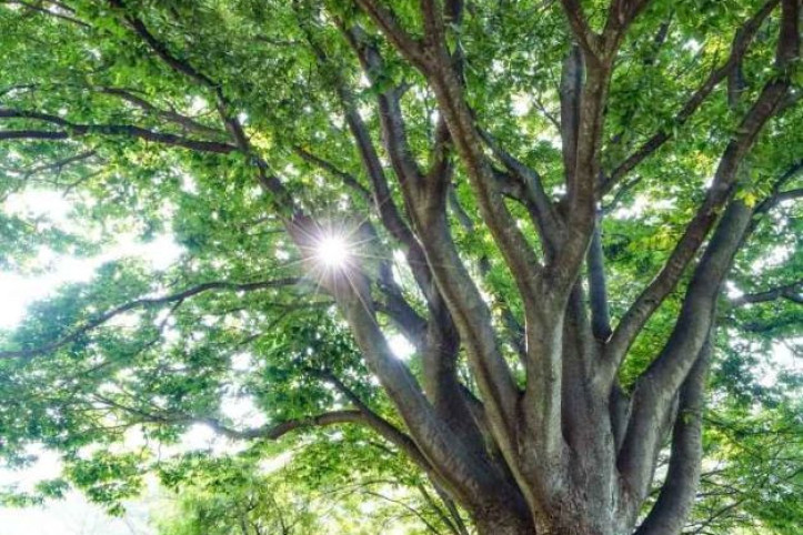 부재산방 여행 추천 - 메고지고