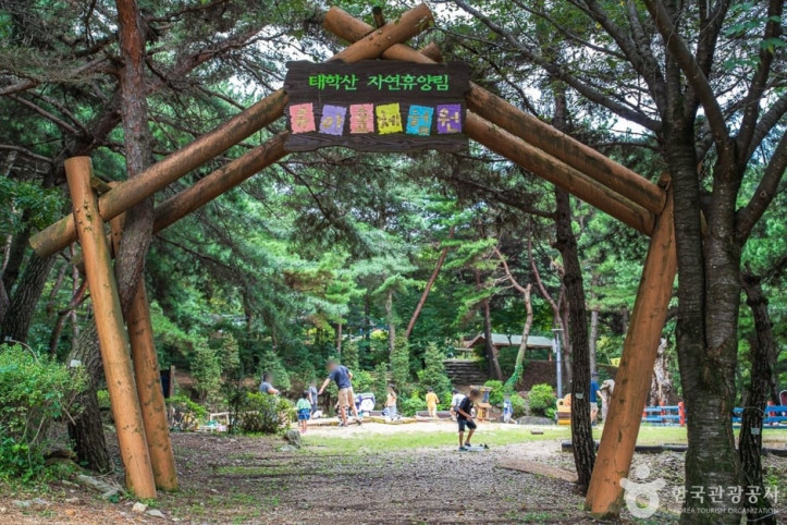 태학산 치유의 숲 여행 추천 - 메고지고