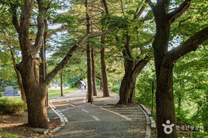춘천시 수변공원 여행 추천 - 메고지고