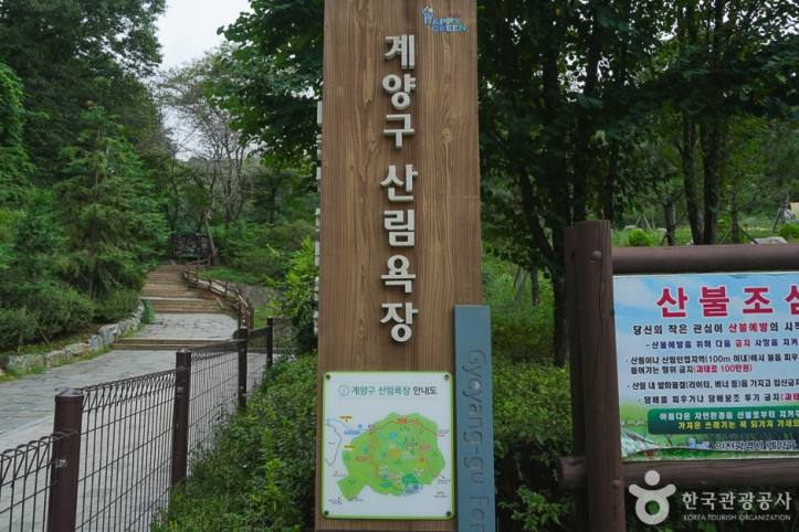 계양산 산림욕장 여행 추천 - 메고지고