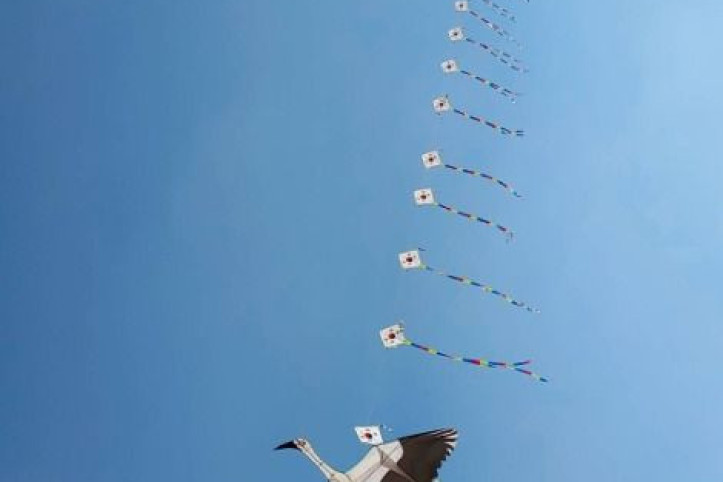 예산 황새공원 여행 추천 - 메고지고