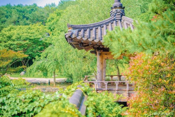 내포항 여행 추천 - 메고지고