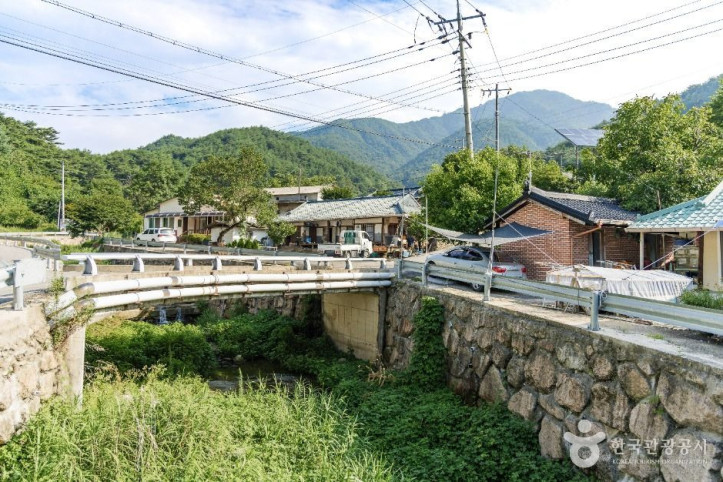 춘양목송이 정보화마을 여행 추천 - 메고지고