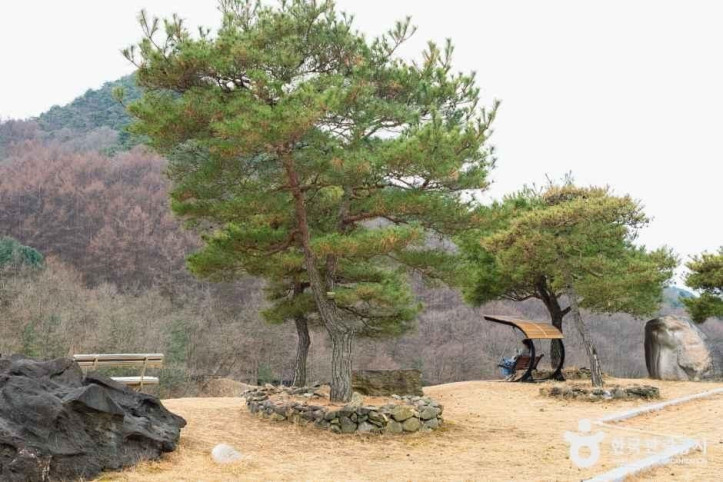 성불산자연휴양림 여행 추천 - 메고지고