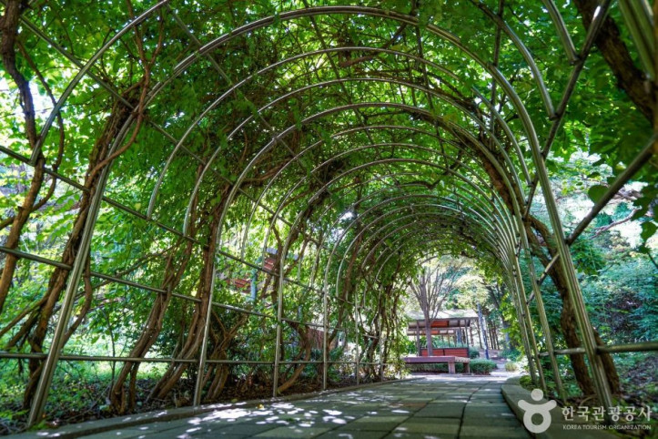 고양 피크닉시민공원 여행 추천 - 메고지고