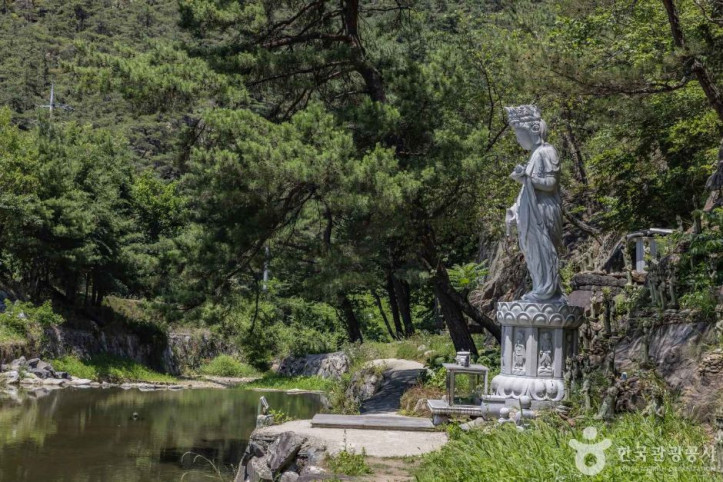 동화사(충북) 여행 추천 - 메고지고