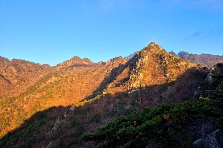 가야산국립공원(백운동 지구) 여행 추천 - 메고지고