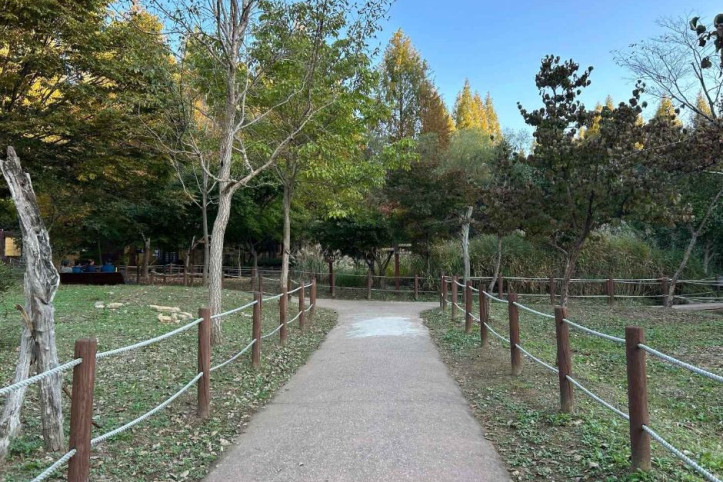 인천대공원 치유숲길 여행 추천 - 메고지고