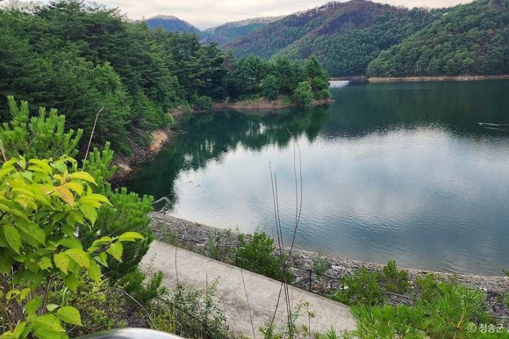 파천 구상 화강암 (청송 국가지질공원) 여행 추천 - 메고지고