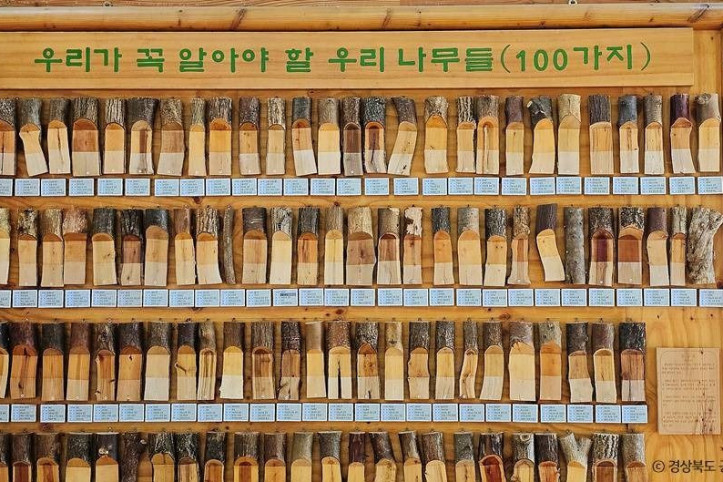 봉화목재문화체험장 여행 추천 - 메고지고