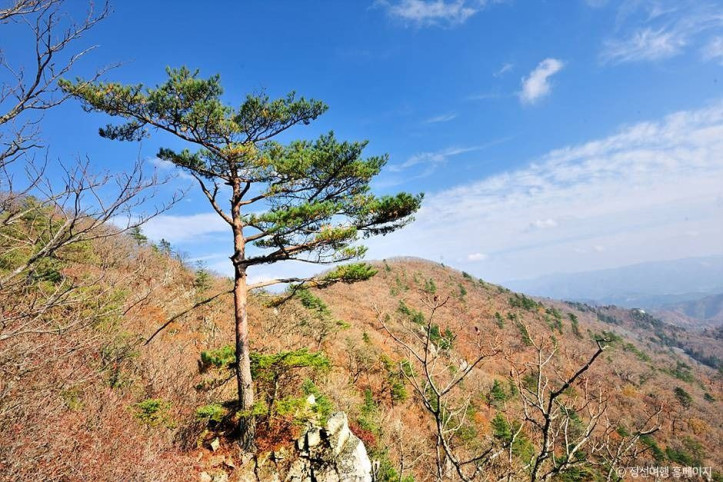 노추산 여행 추천 - 메고지고