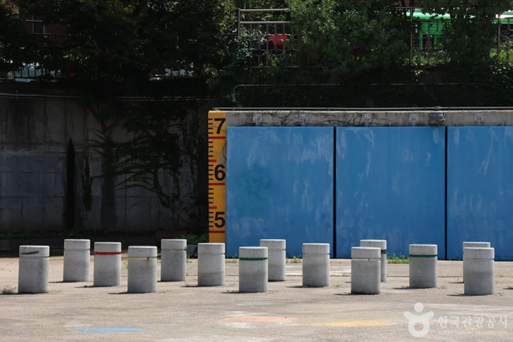 망원유수지체육공원 여행 추천 - 메고지고