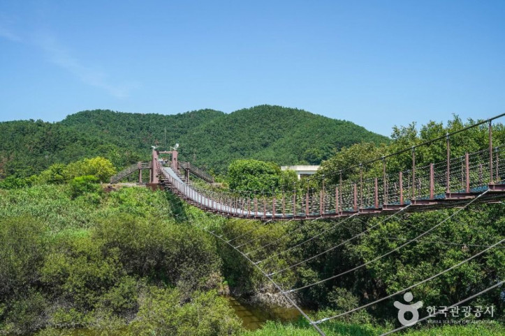 우포출렁다리 여행 추천 - 메고지고