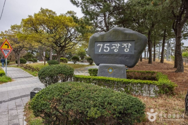 75광장 여행 추천 - 메고지고