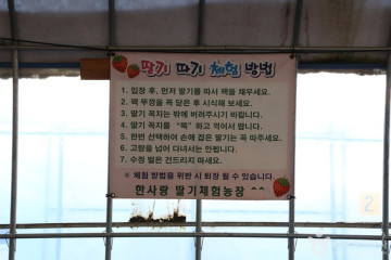 세미원 여행 추천 - 메고지고