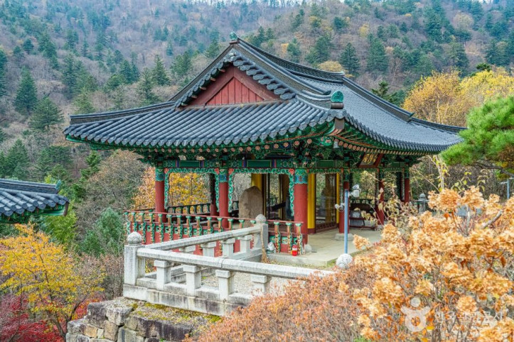 상원사 동종 여행 추천 - 메고지고