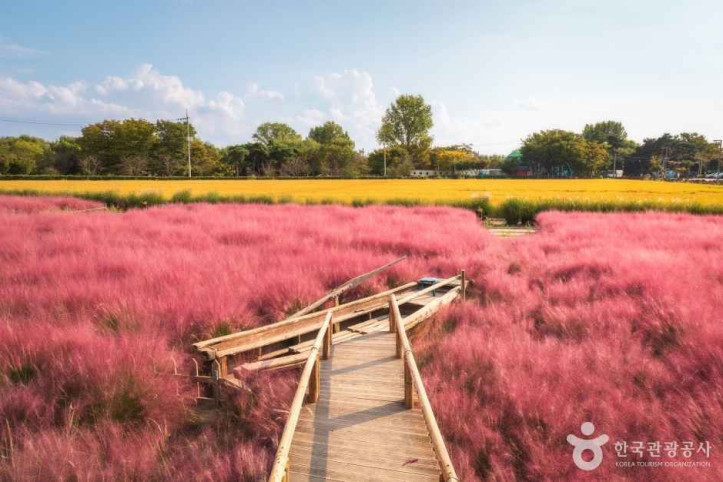 바람새마을 여행 추천 - 메고지고
