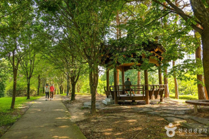 들의공원 여행 추천 - 메고지고